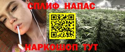 прущая мука Будённовск