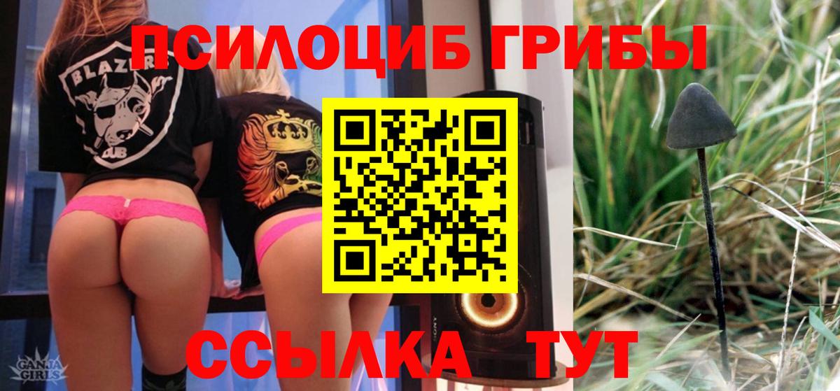 Псилоцибиновые грибы мицелий Шумерля