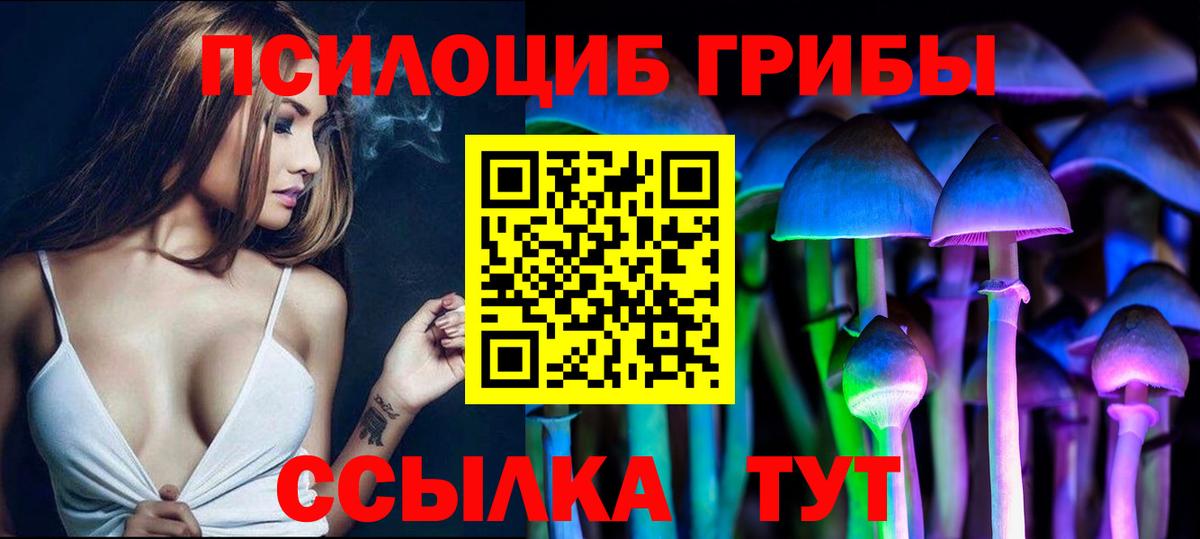 Галлюциногенные грибы GOLDEN TEACHER  Вход с VPN  Галлюциногенные грибы Cubensis  Шумерля 